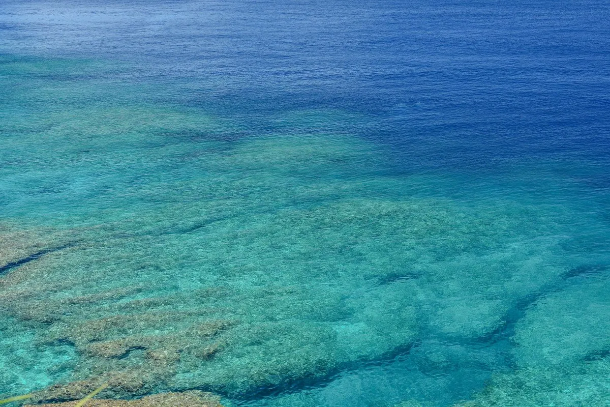 Okinawa's blue summer sea and coral reef