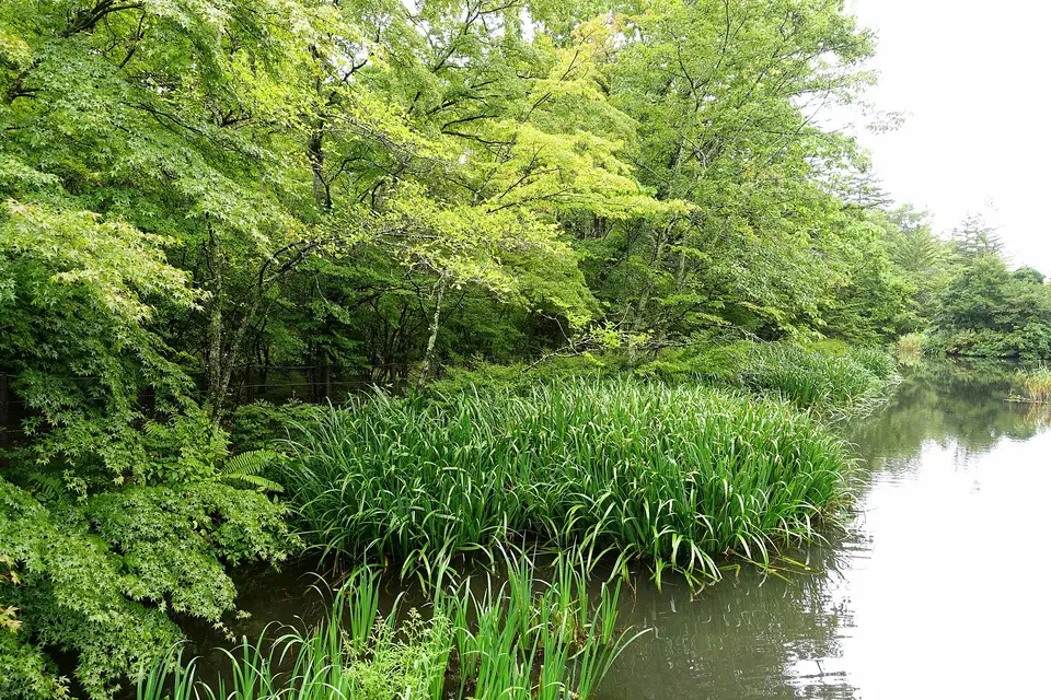 A villa in the forest of Karuizawa